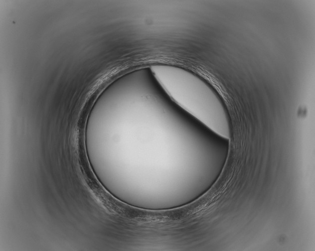 X0000095890626200801110829