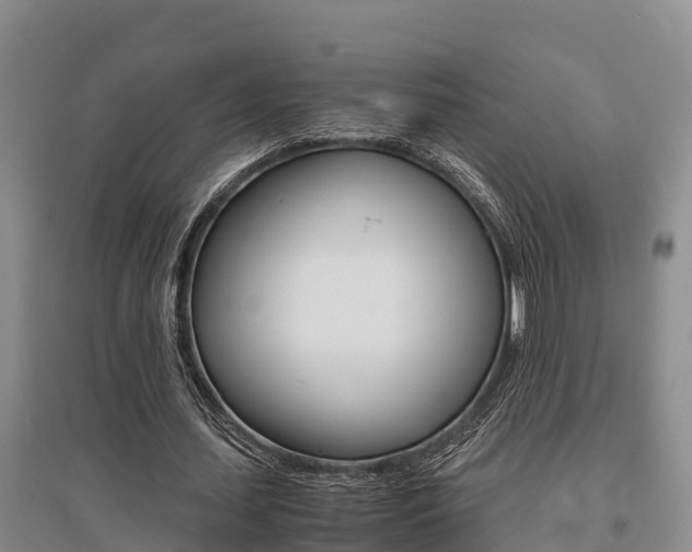 X0000095890627200801110829