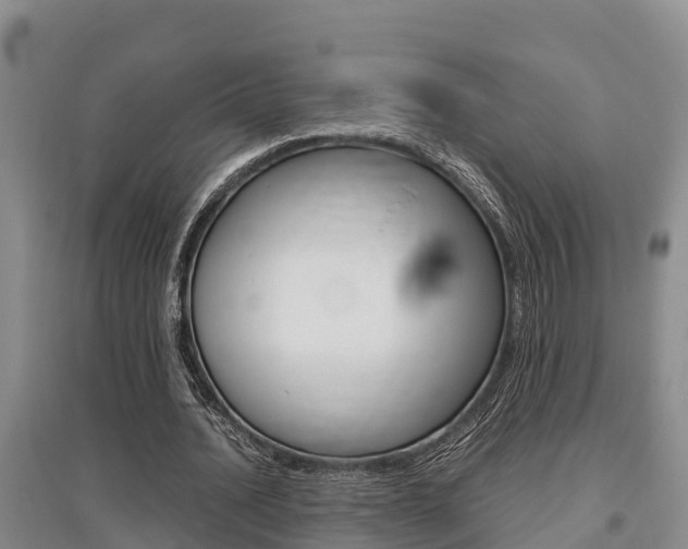 X0000095890628200801110829