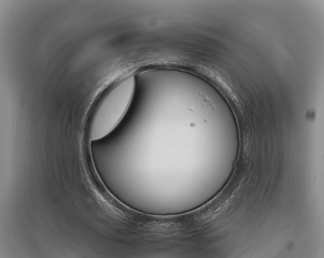 X0000095890629200801110829