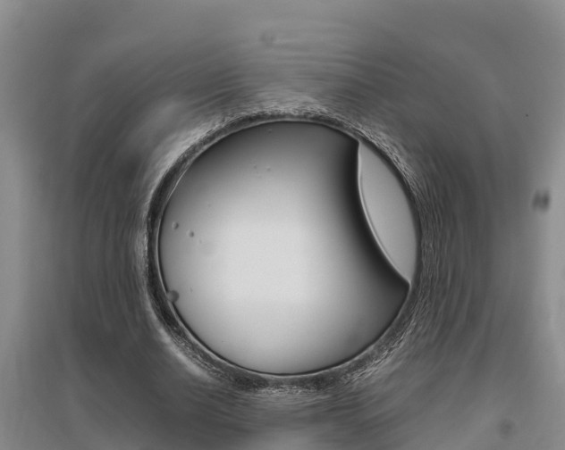 X0000095890630200801110829