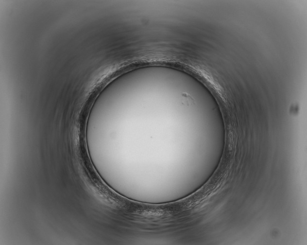 X0000095890631200801110829