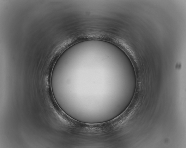 X0000095890633200801110829