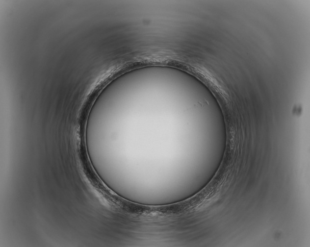 X0000095890634200801110829