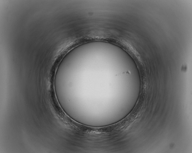 X0000095890635200801110829