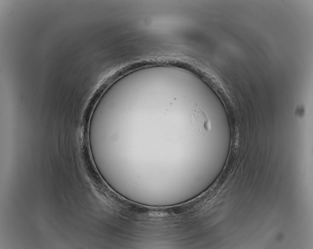 X0000095890636200801110829