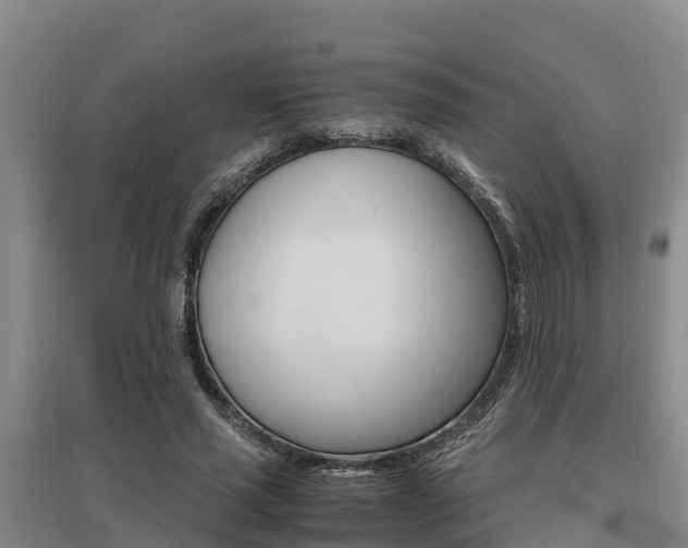 X0000095890637200801110829