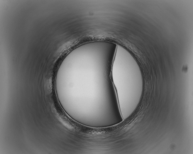 X0000095890638200801110829