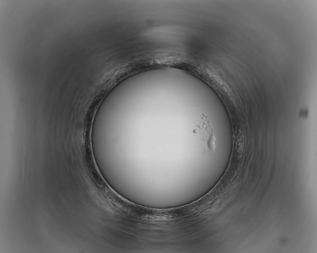 X0000095890639200801110829