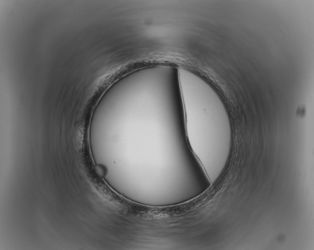 X0000095890640200801110829