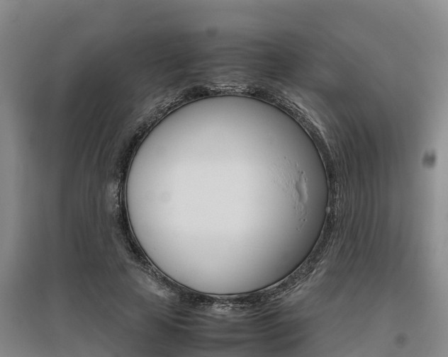 X0000095890641200801110829