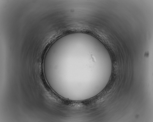 X0000095890642200801110829