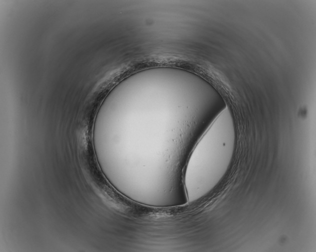 X0000095890644200801110829