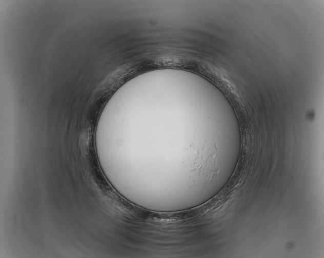 X0000095890645200801110830
