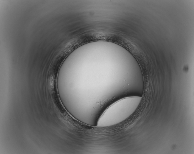 X0000095890646200801110830