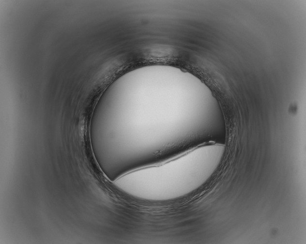 X0000095890647200801110830