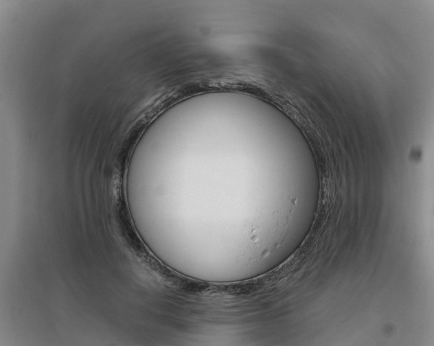 X0000095890648200801110830