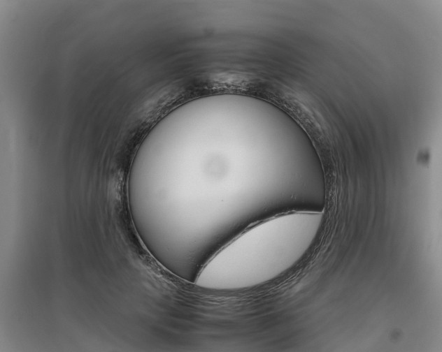 X0000095890649200801110830