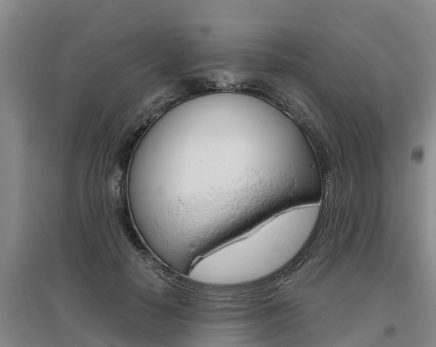X0000095890650200801110830