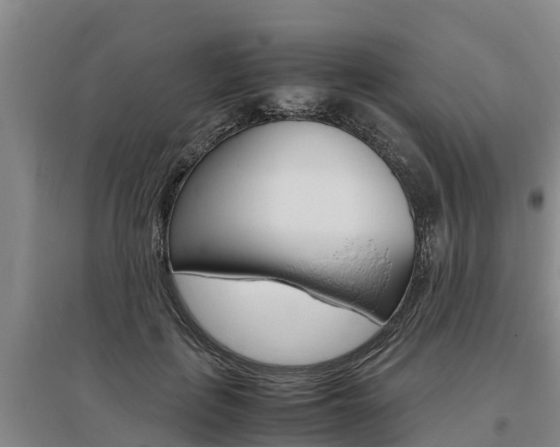 X0000095890651200801110830