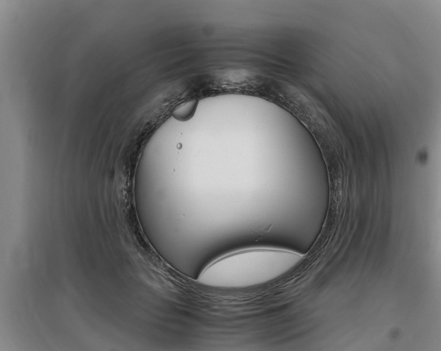 X0000095890653200801110830