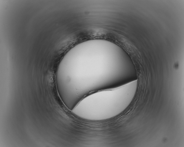X0000095890654200801110830