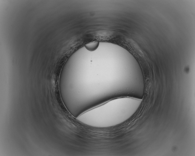 X0000095890655200801110830