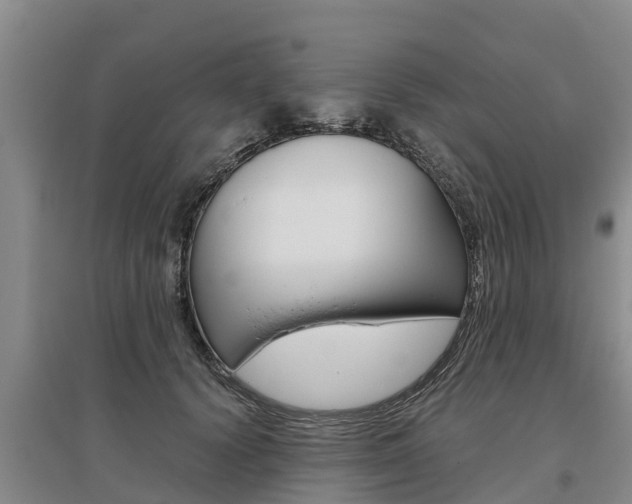 X0000095890656200801110830