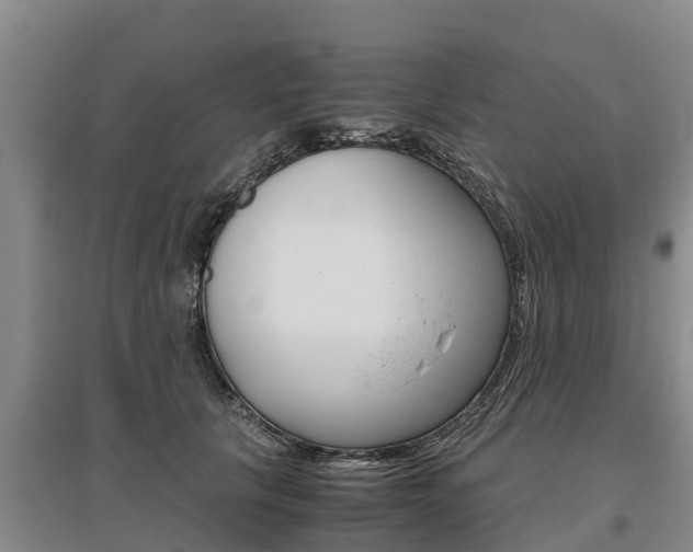 X0000095890657200801110830
