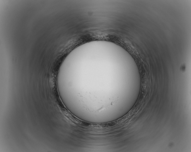 X0000095890658200801110830