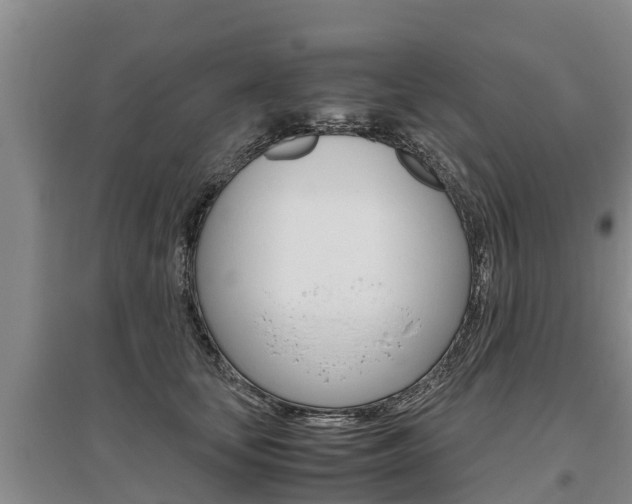 X0000095890659200801110830