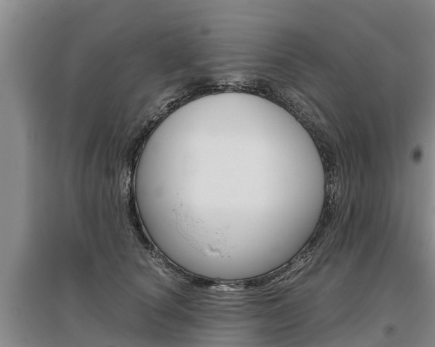 X0000095890660200801110830