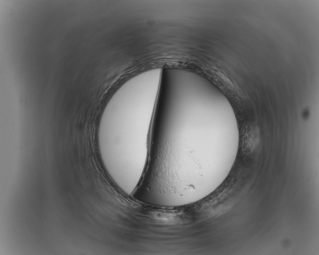 X0000095890661200801110830