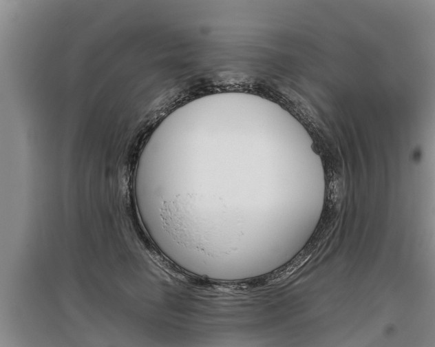 X0000095890662200801110830