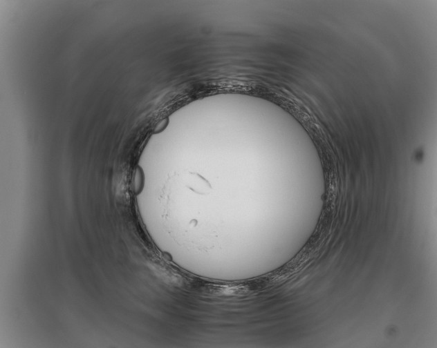 X0000095890663200801110830