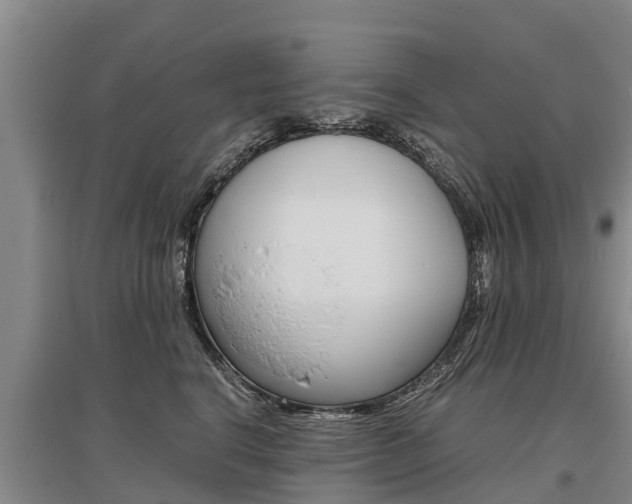X0000095890664200801110830