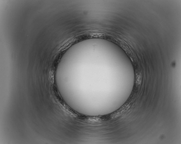 X0000095890666200801110830