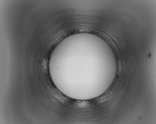 X0000095890667200801110830