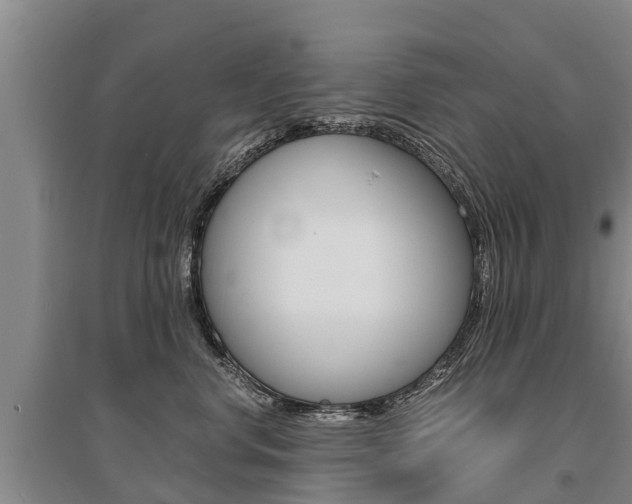 X0000095890668200801110830