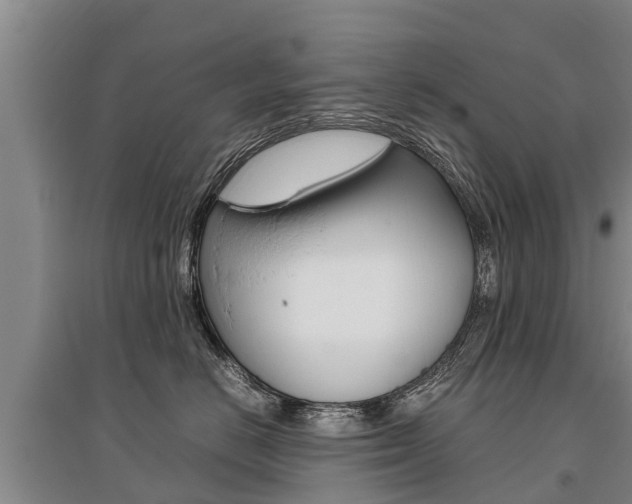 X0000095890670200801110830