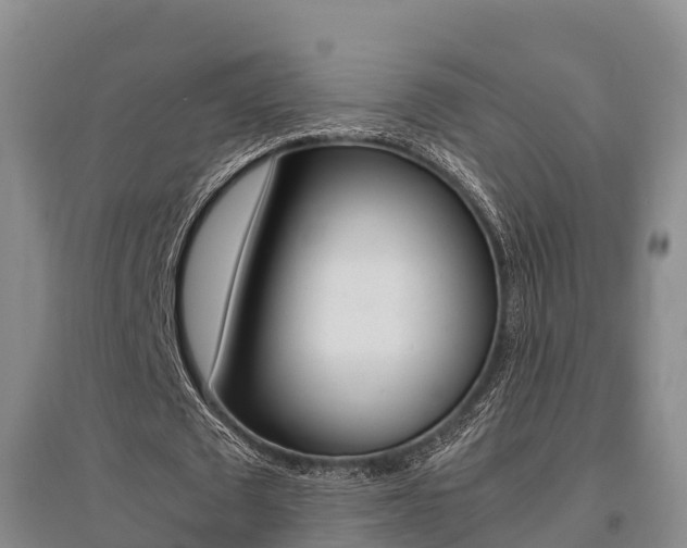 X0000095890673200801110829