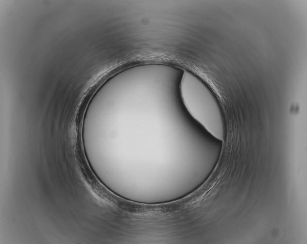 X0000095890674200801110829