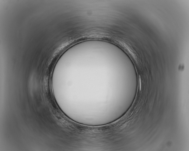X0000095890675200801110829