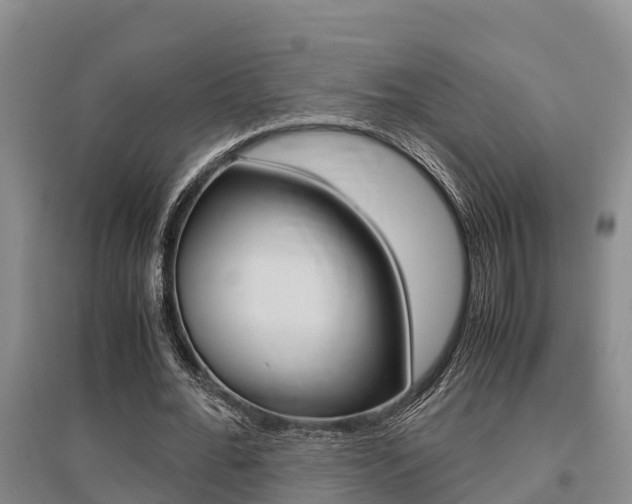 X0000095890676200801110829