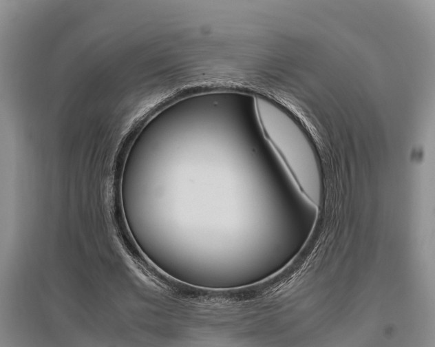 X0000095890677200801110829