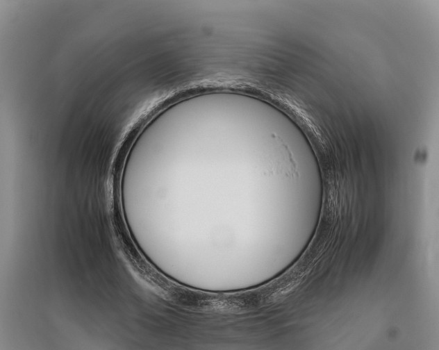 X0000095890678200801110829