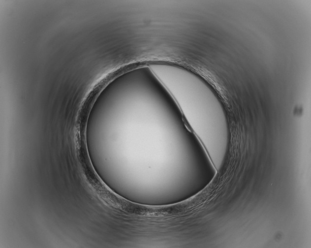 X0000095890680200801110829