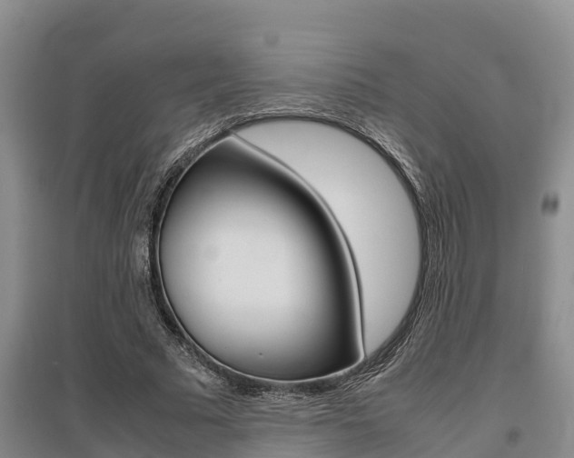 X0000095890681200801110829