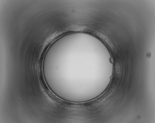 X0000095890682200801110829