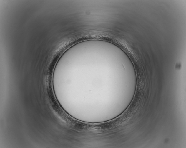X0000095890683200801110829